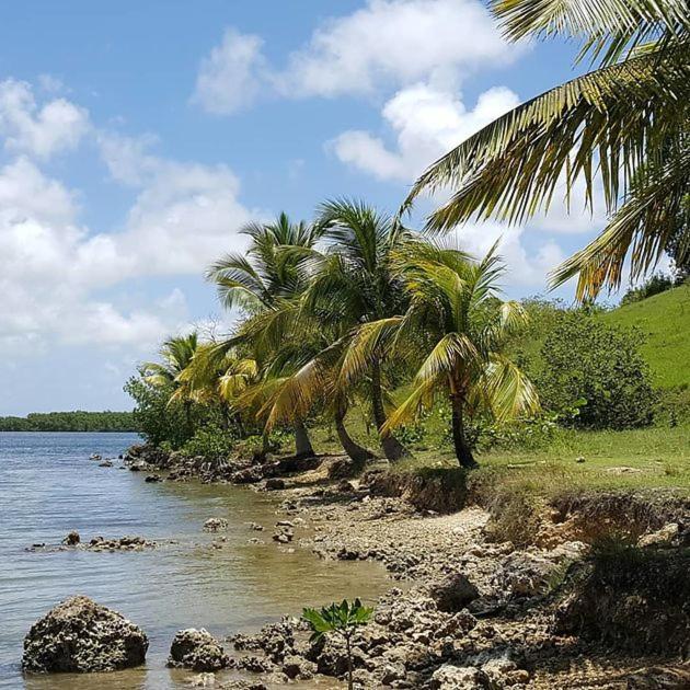 Dadi'S Little Paradis Sainte-Rose Buitenkant foto